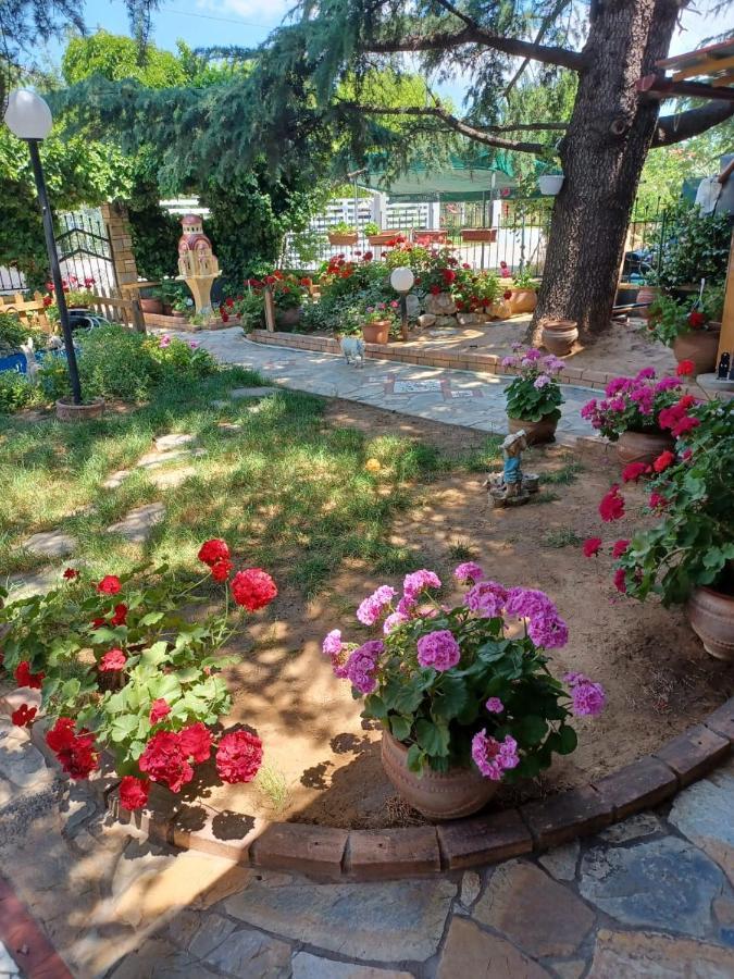 Handmade Peaceful Cozy House Near The Beach Nea Kallikrateia Esterno foto